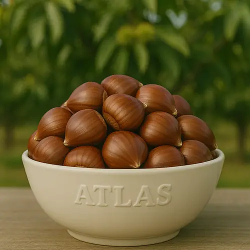 Aydın chestnuts bulk supply